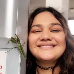 Meet your Posher, Alexis